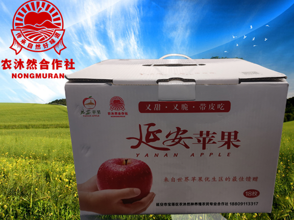 农沐然延安苹果 红富士 陕西延安 山地 苹果 礼盒装 18枚85#装