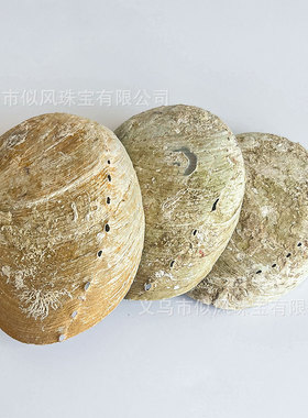 澳洲白鲍鱼壳贝壳鼠尾草圣木草杖