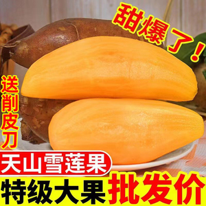 现挖天山雪莲果新鲜10斤应当季水果特级红心云南雪连果整箱包邮10