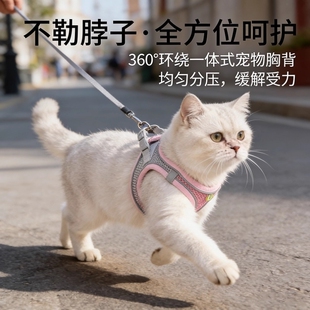 猫咪牵引绳可调节溜猫牵引绳猫绳子猫牵引防挣脱外出专用猫绳抱婴