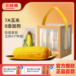三胖蛋甜糯玉米礼盒装真空锁鲜黄玉米粗粮代餐早餐228g*9穗苞米棒