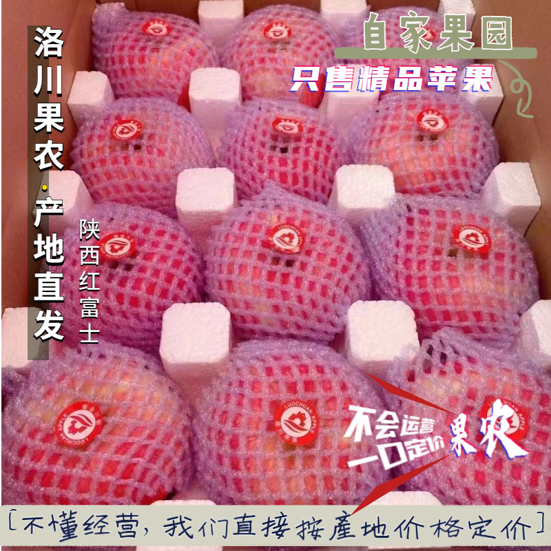5A特级苹果只发精品!陕西正宗洛川苹果冰糖心新鲜红富士产地直发