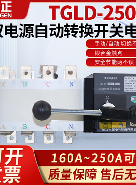 天正TGLD-250/4双电源自动转换切换开关200A隔离型4P三相四线PC级