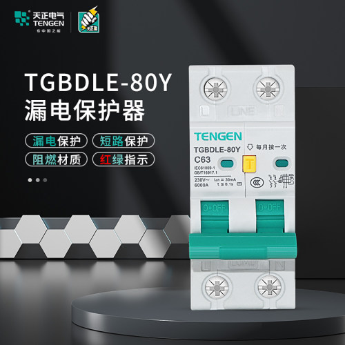 TENGEN天正电气63A漏电保护器2P