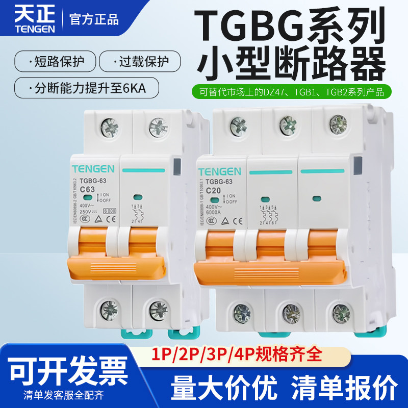 天正TGBG直流空气开关图片