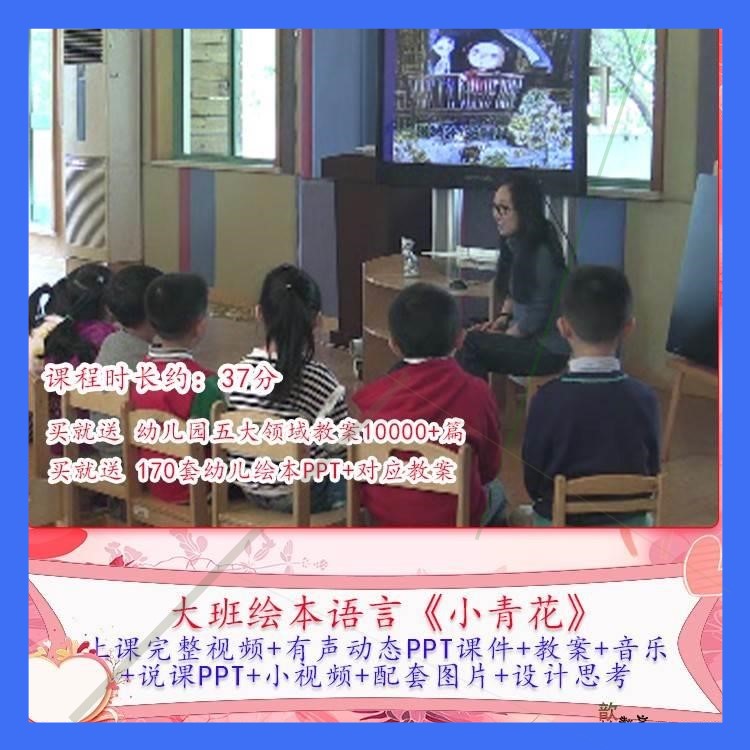 幼儿园优质课大班绘本语言《小青花》视频公开课PPT课件教学教案