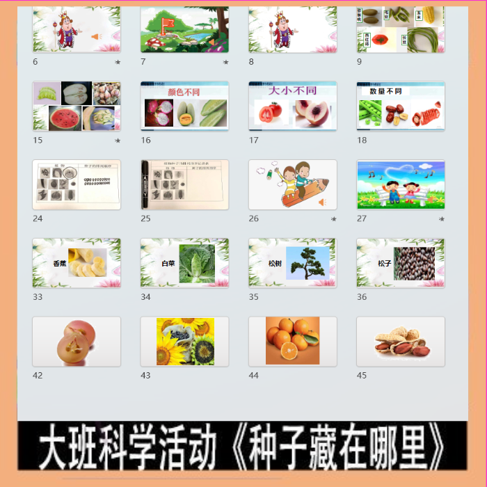 幼师幼儿园优质公开课大班科学活动《种子藏在哪里》PPT课件教案
