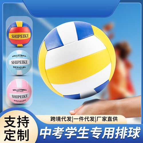 中学生中考专用排球5号室内训练