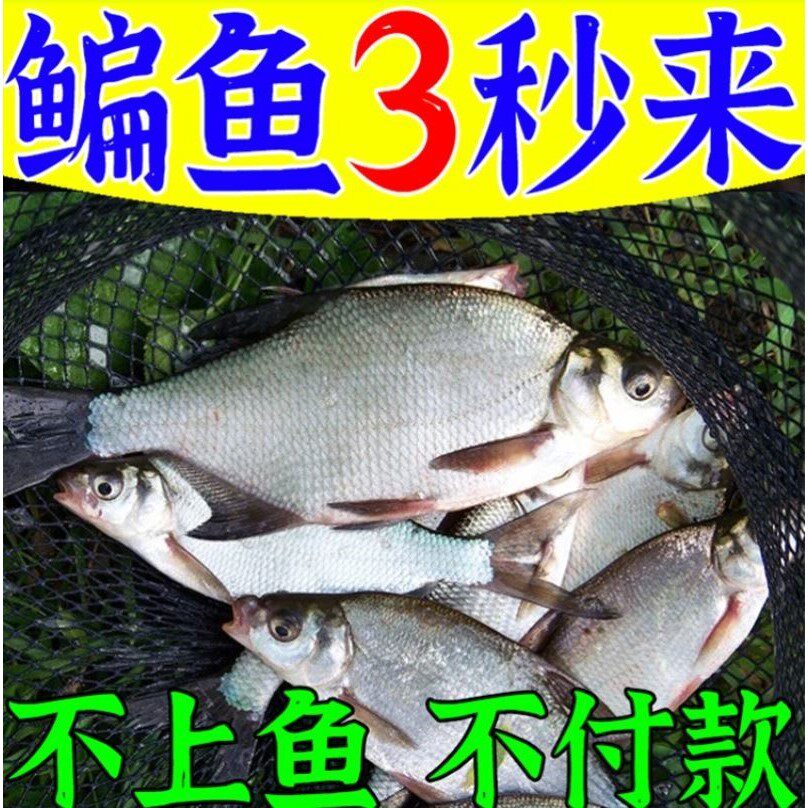 开春钓鳊鱼专用饵料黑坑水库野钓武昌鱼草鱼四季通杀青草鳊鱼饵料