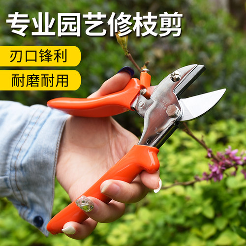 包邮冈弘519大力剪省力剪修枝剪8寸铁砧剪树枝剪修枝剪果枝剪