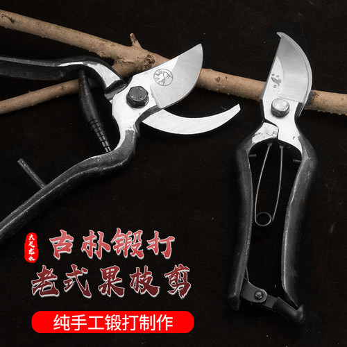 望儿山修枝剪刀园艺省力剪 粗枝修剪剪刀花艺专业修枝剪