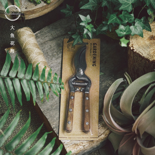 大鱼花海 专业园林剪刀园艺花卉树木修枝剪月季绣球修剪工具