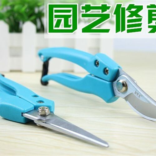 修枝葡萄剪花枝剪刀果树整枝树枝剪粗枝采果剪园艺工具摘水果神器