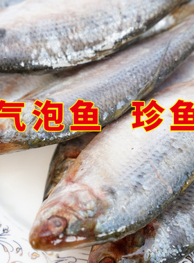 气泡鱼新鲜冷冻珍鱼速冻海鲫鱼海杂鱼小海鱼东戴河海鲜冷冻水产