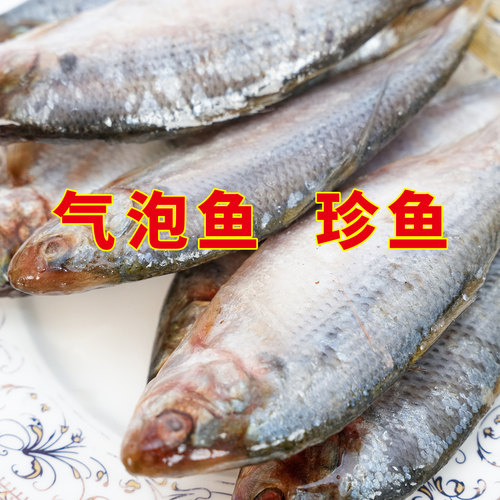 气泡鱼珍鱼海鲫鱼新鲜冷冻