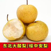 正宗绥中安梨东北酸梨当季 新果产地直发新鲜水果老品种大个酸梨