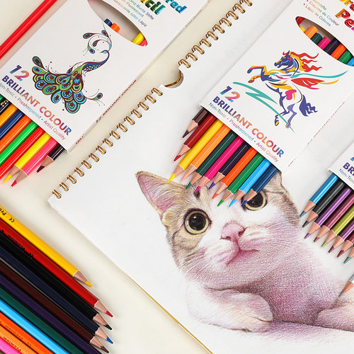 Color pencil 12 color water soluble color lead log pencil