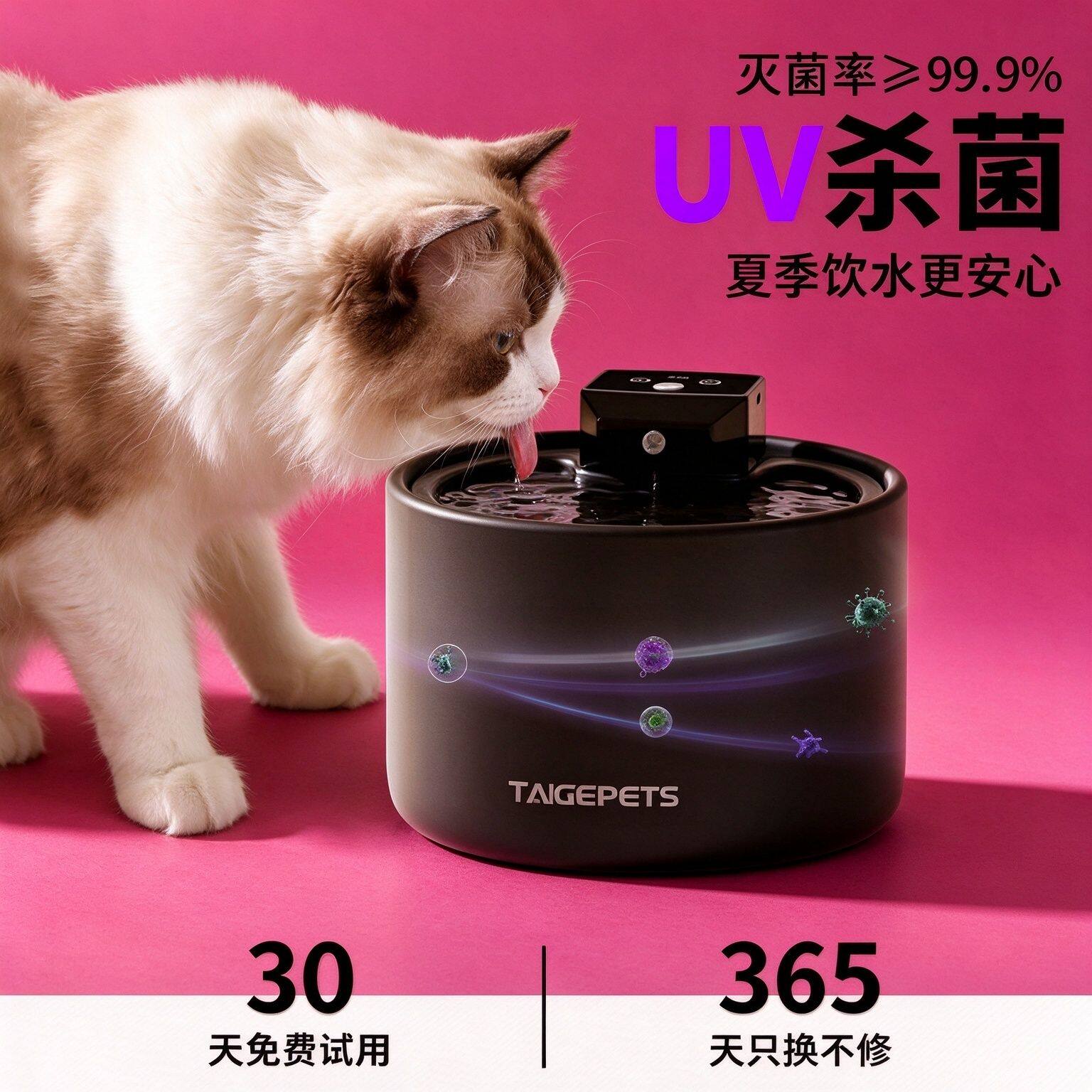 陶瓷猫饮水机恒温流动水喂水器