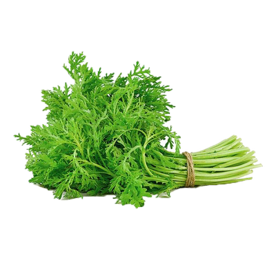 小叶茼蒿种子四季易种脆嫩香甜