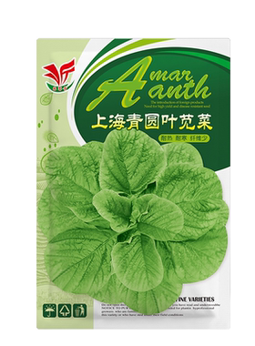 圆叶苋菜四季种植脆嫩香嫩