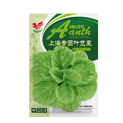 圆叶苋菜四季种植脆嫩香嫩