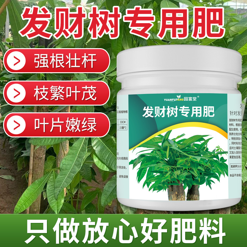 绿萝幸福树盆栽植物有机肥