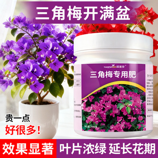 三角梅开花专用肥盆栽花肥料促花爆花磷酸二氢钾花肥家用复合肥