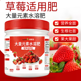 草莓专用肥料氮磷钾平衡肥大量元素水溶肥生根壮苗膨果增甜盆栽用