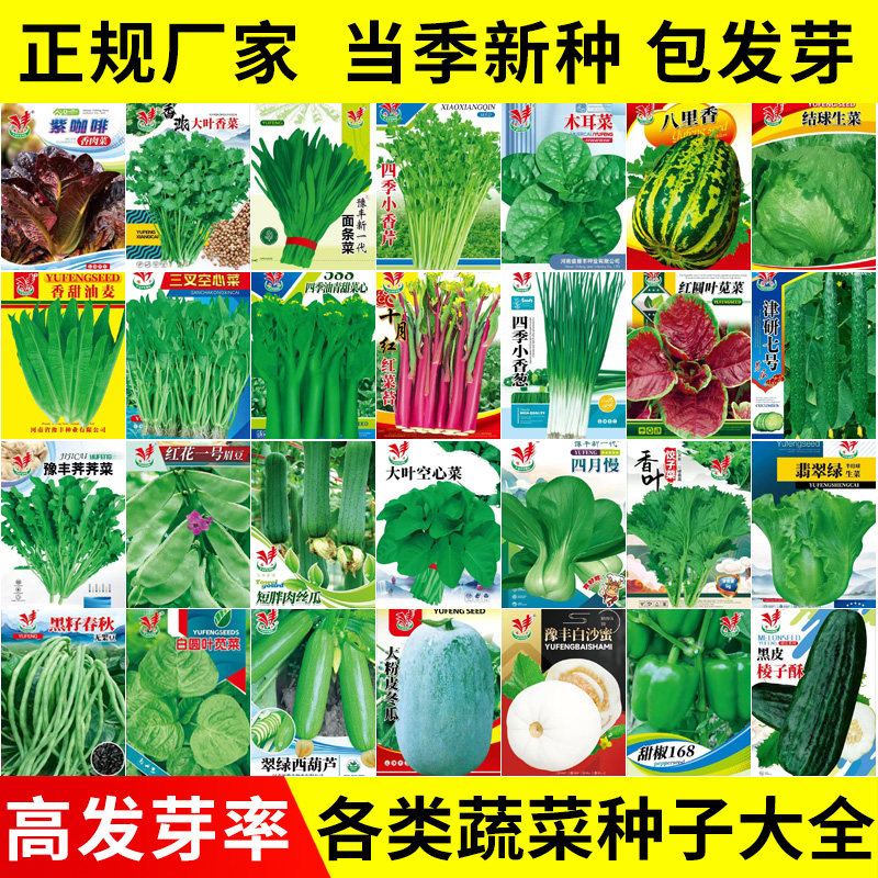 蔬菜种子香菜菠菜葫芦草莓辣椒南瓜生菜种孑阳台盆栽蔬菜籽大全