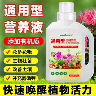 室内盆栽营养液植物通用型绿植水培发财树富贵竹绿萝花卉花肥肥料