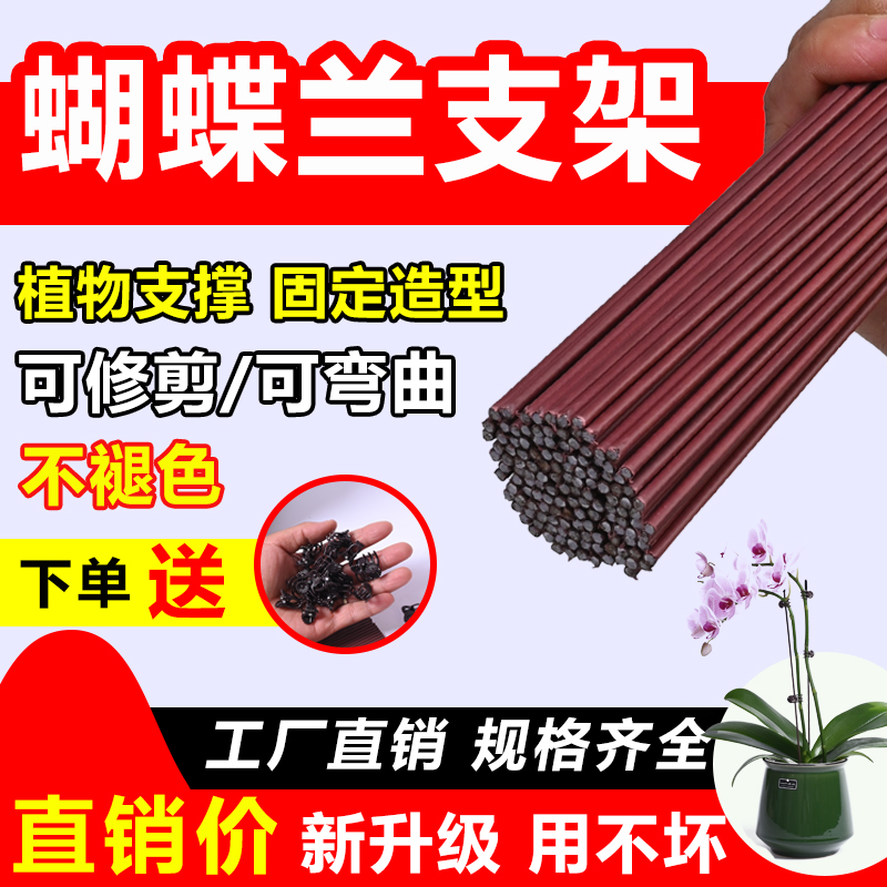 蝴蝶兰支架夹子固定爬藤类植物
