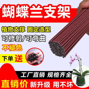 蝴蝶兰支架夹子固定爬藤类园艺花卉植物做造型防倒伏兰花类支撑杆