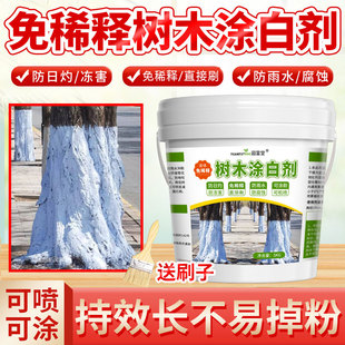 树木涂白剂树干果树大树园林防冻果园大树刷白石灰粉防寒