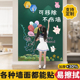 白板墙贴可移除写字板磁性家用不伤墙儿童画板可擦白板笔涂鸦软小