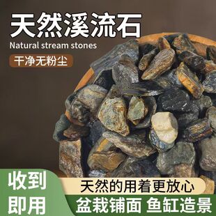 原生溪流石大块鱼缸造景鹅卵石小石头造景火山石原生溪流石10斤