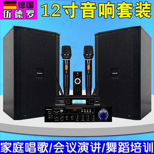 伍德罗12寸KTV音响全套设备