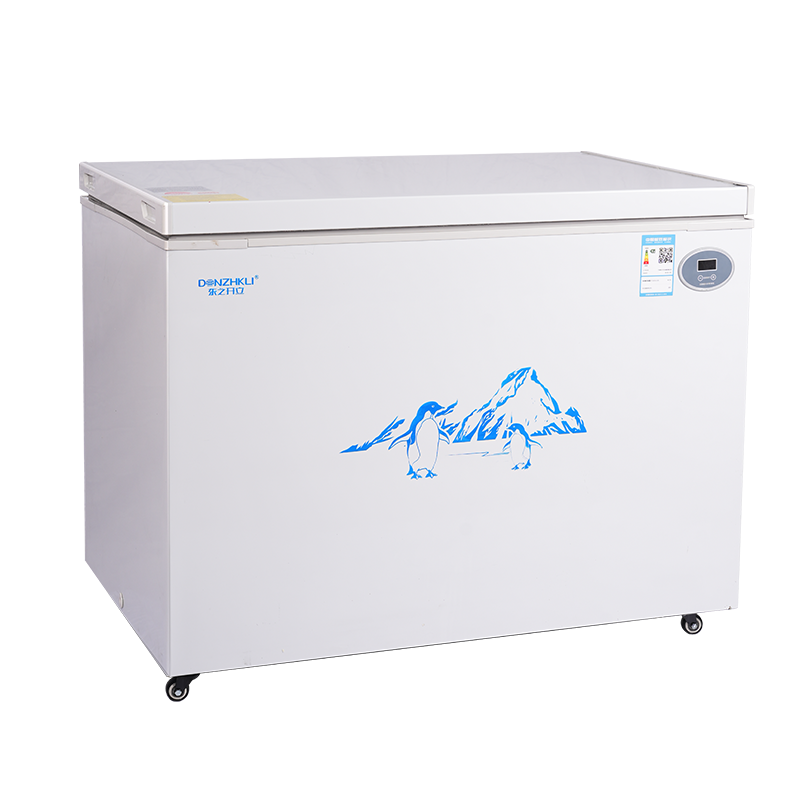 东之开小型冰柜大冷柜冰柜家用卧式迷你小冰箱大容量电脑控温冰柜