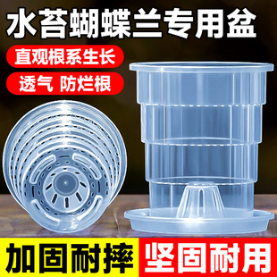 爱美透明兰花水苔蝴蝶兰专用花盆塑料透气热植石斛盆栽青山控根盆