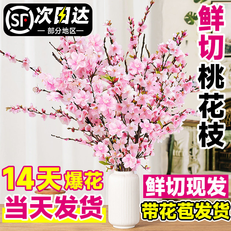 桃花枝水培干枝带花苞红梅珍珠李当季鲜切室内水养腊梅花雪柳盆栽,鲜花速递/花卉仿真/绿植园艺,绿植,淘宝优惠券,粉丝福利购,淘宝优惠卷