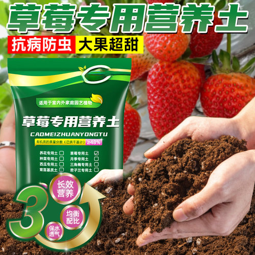 草莓专用营养土盆栽种植土泥土蔬菜种菜育苗土壤阳台肥料批发通用