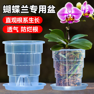 爱美透明青山控根盆兰花水苔蝴蝶兰专用花盆塑料透气镂空花盆家用