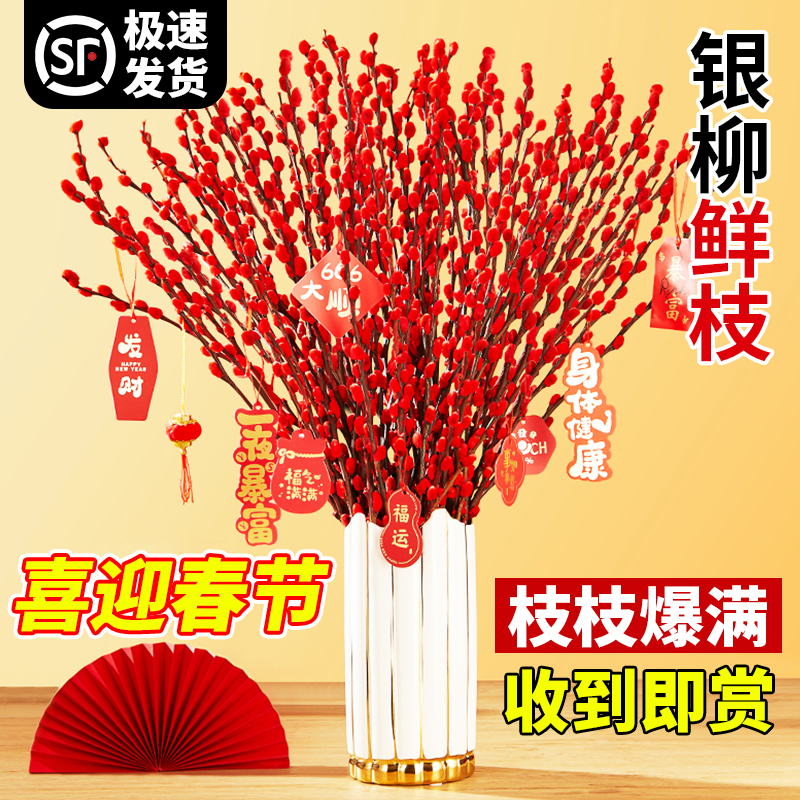 银柳真花鲜枝室内喜庆年宵花卉