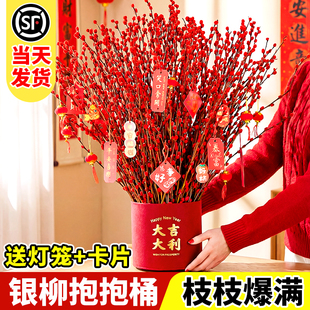 银柳真花鲜枝抱抱桶福桶花桶客厅摆件干花年宵花乔迁新居新年花卉