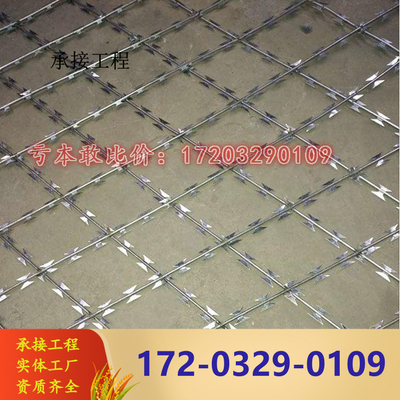 镀锌刀片刺网防爬防盗网