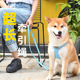 狗狗牵引绳可调节超长一拖二中型犬小型犬狗绳遛狗