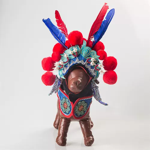 Голова домашнего кота сет