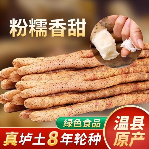 温县正宗垆土铁棍山药新鲜采挖