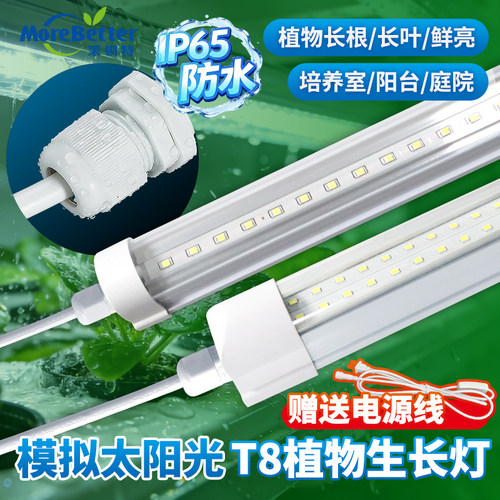 防水全光谱植物补光灯T8LED防潮