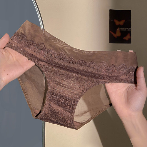 咖色御姐风性感网纱内裤女