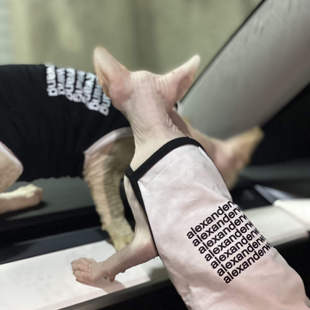 无毛猫衣服纯棉潮牌薄款短袖吊带空调房德文阿比司芬克斯猫衣服